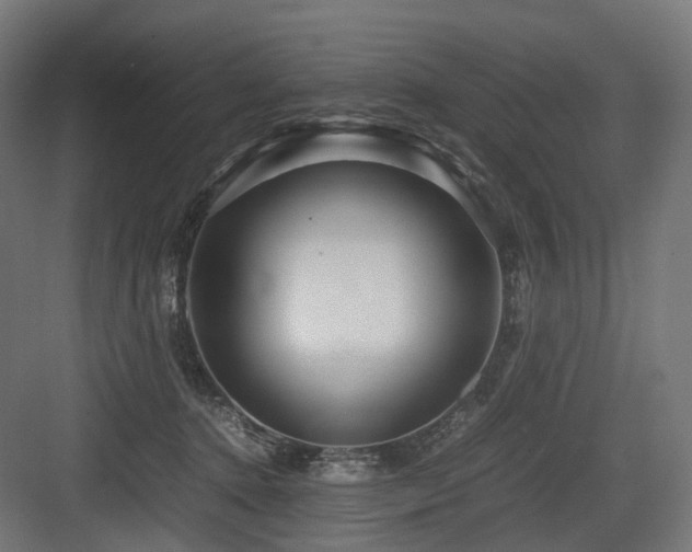 X0000083640368200702121130