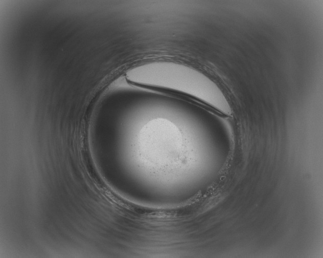 X0000083640370200702121130