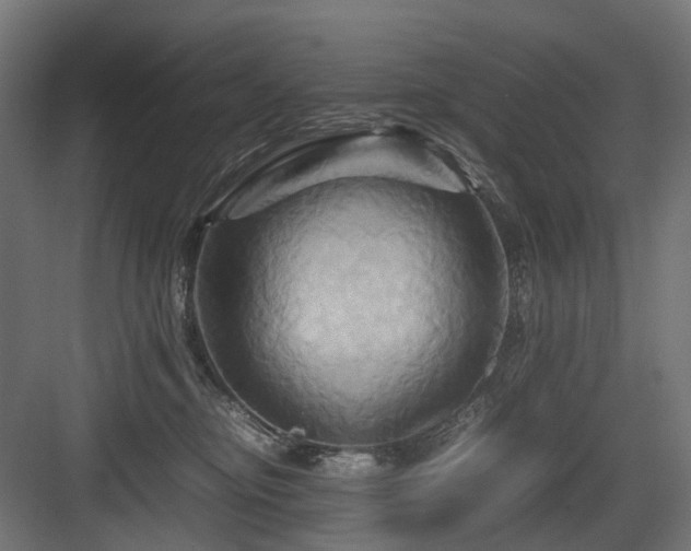 X0000083640374200702121130