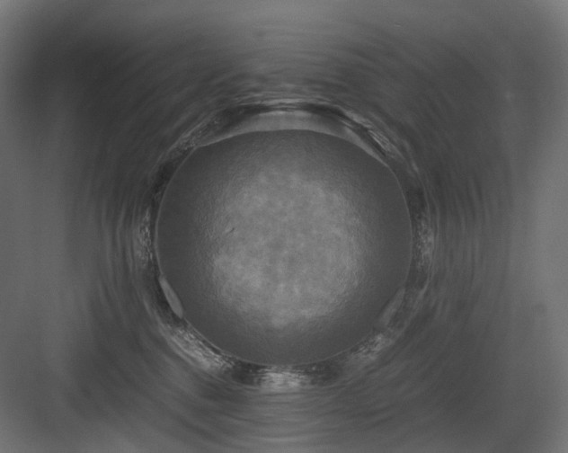 X0000083640376200702121130