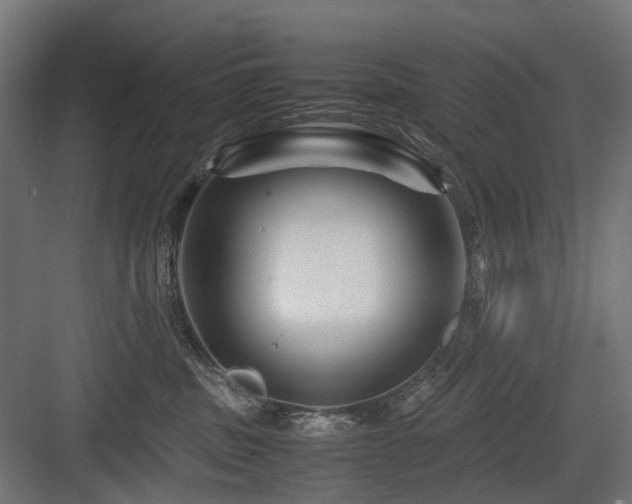 X0000083640379200702121130