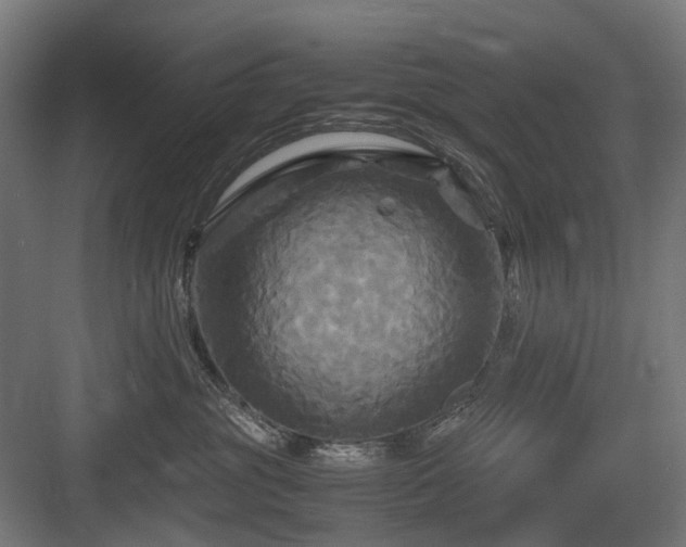 X0000083640381200702121130
