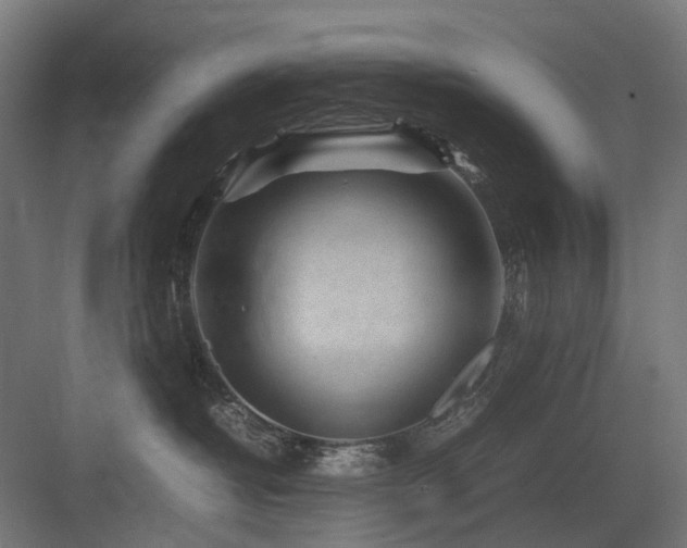 X0000083640382200702121130