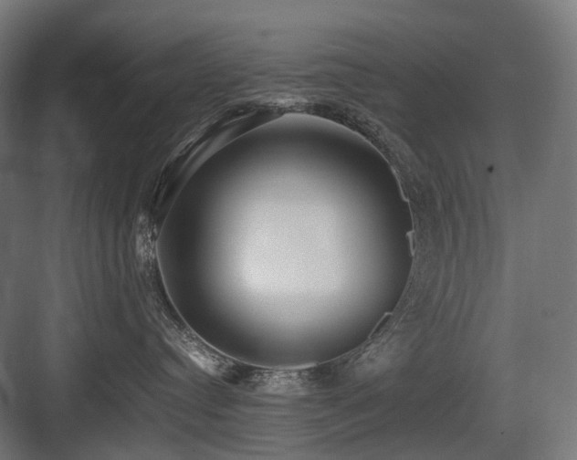 X0000083640384200702121130