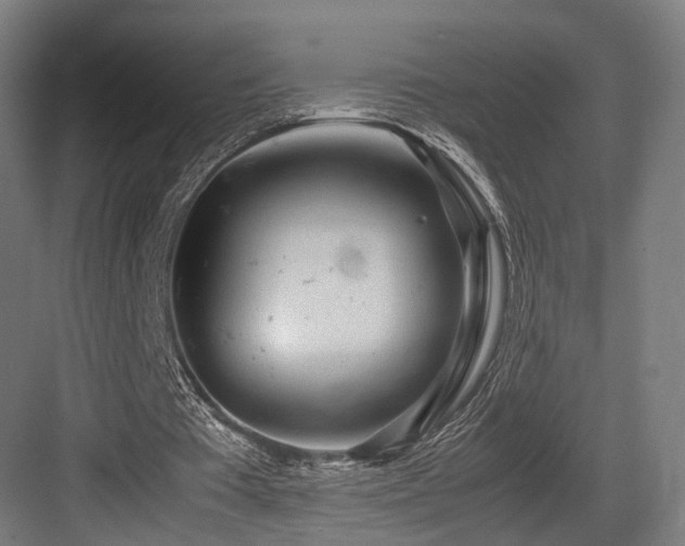 X0000083640385200702121129