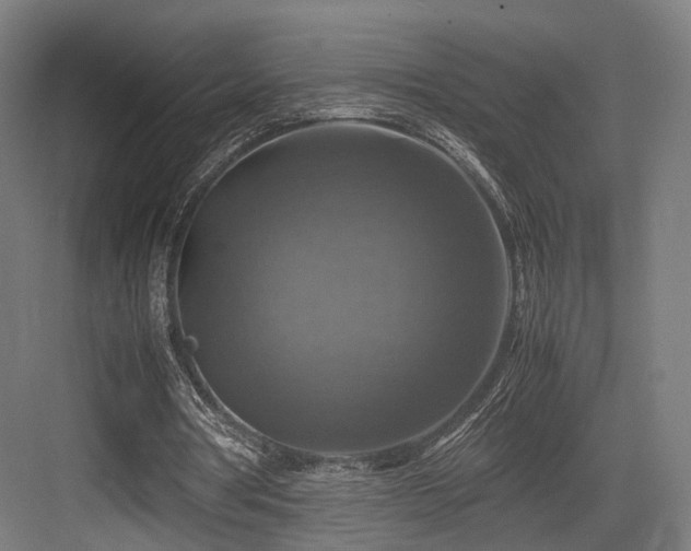 X0000083640386200702121129