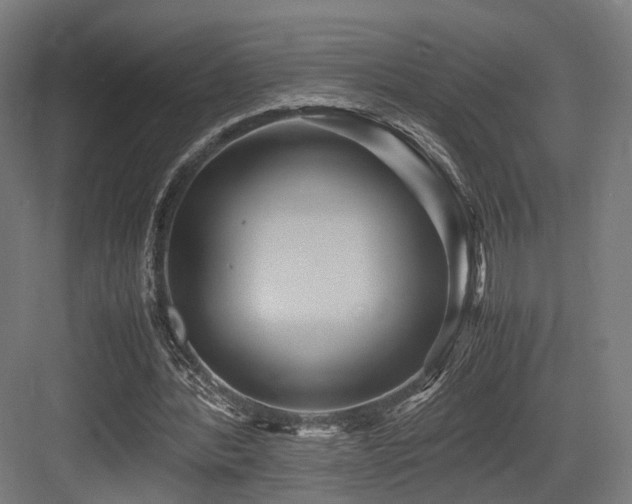 X0000083640388200702121129