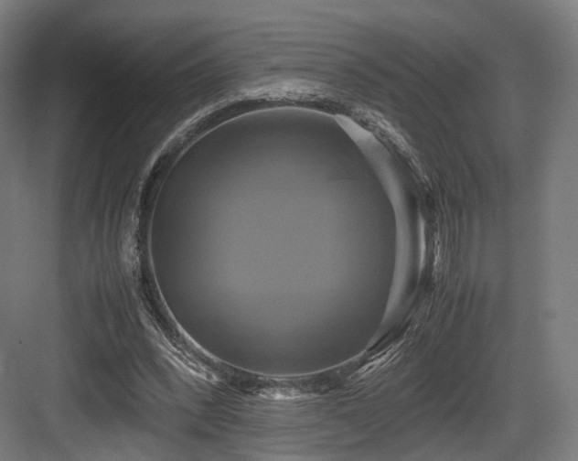 X0000083640392200702121129