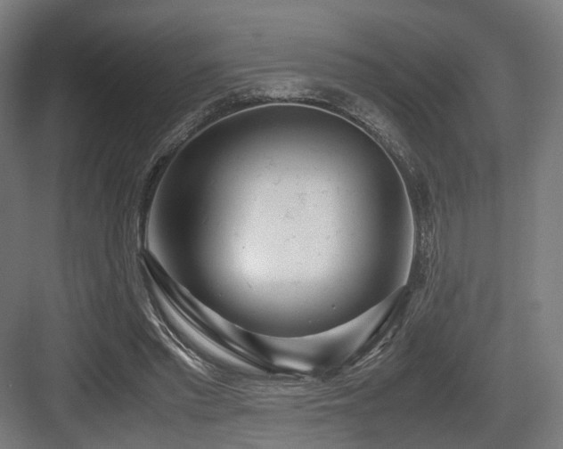 X0000083640397200702121129