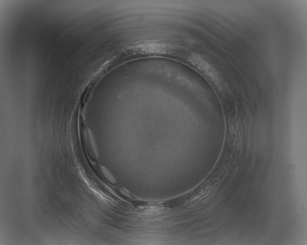 X0000083640398200702121129