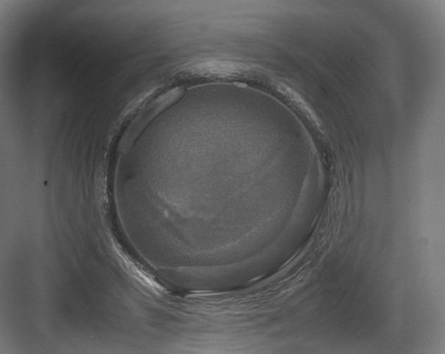 X0000083640399200702121129
