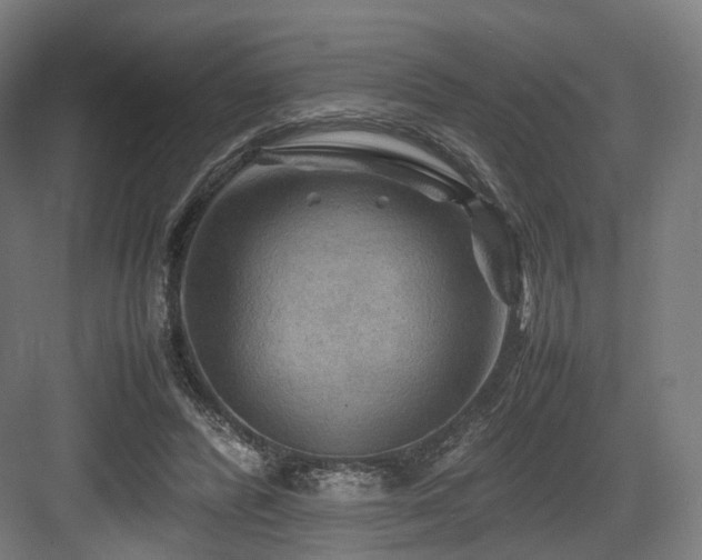 X0000083640400200702121129