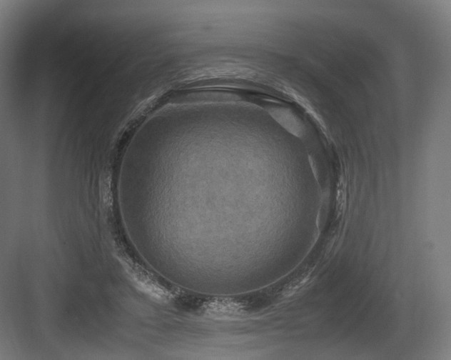 X0000083640403200702121129
