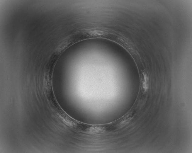 X0000083640418200702121129