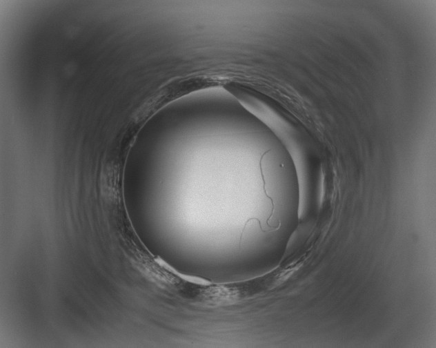 X0000083640421200702121129