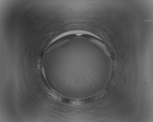 X0000083640423200702121129