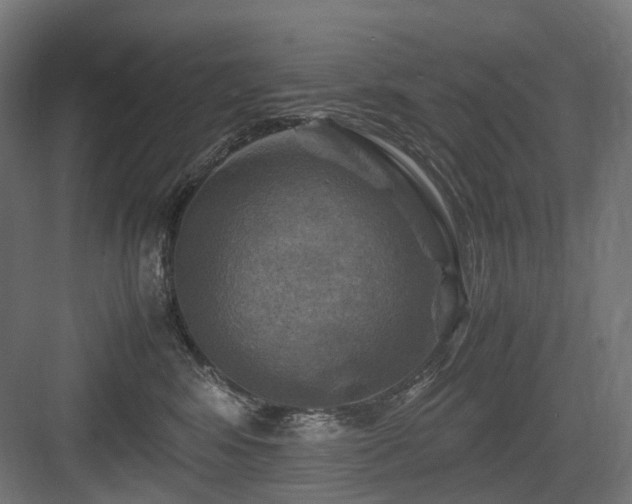 X0000083640424200702121129