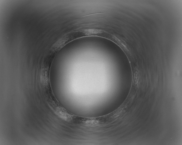X0000083640426200702121129