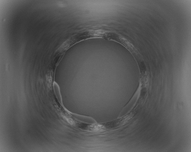 X0000083640427200702121129