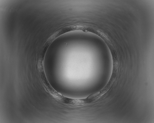 X0000083640429200702121129