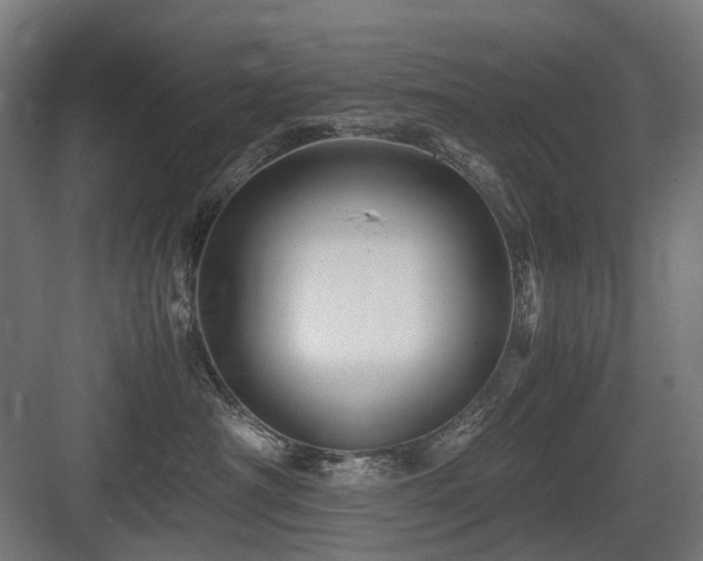 X0000083640430200702121129