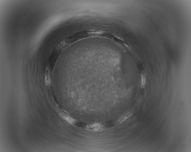 X0000083640431200702121129