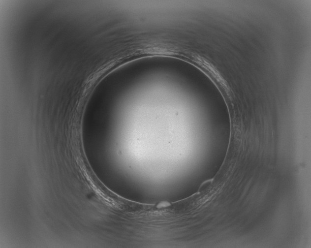 X0000083640433200702121128