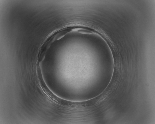 X0000083640434200702121128