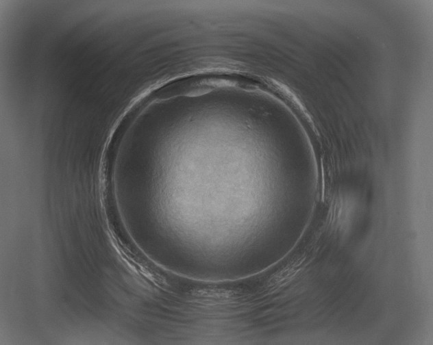 X0000083640435200702121128