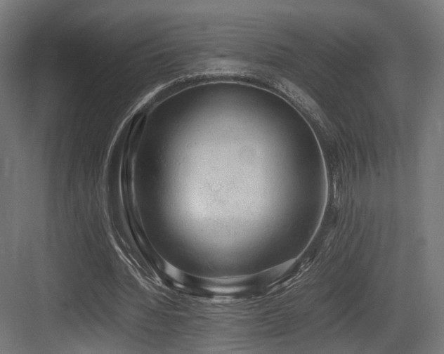 X0000083640436200702121128
