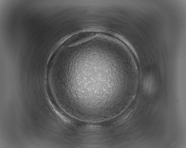 X0000083640437200702121128