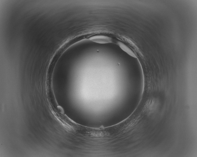 X0000083640439200702121128