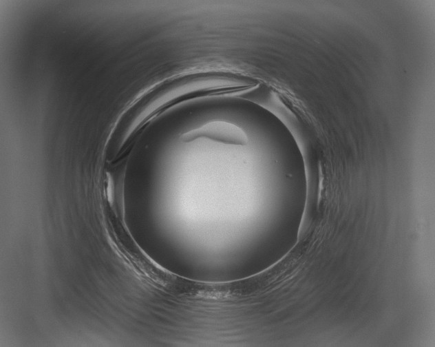 X0000083640440200702121128