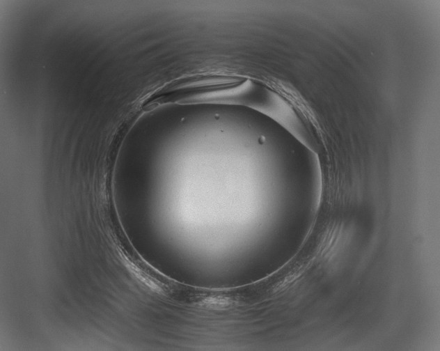 X0000083640441200702121128