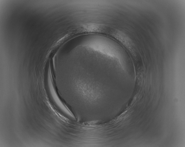 X0000083640442200702121128