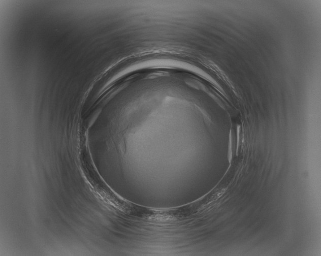 X0000083640444200702121128