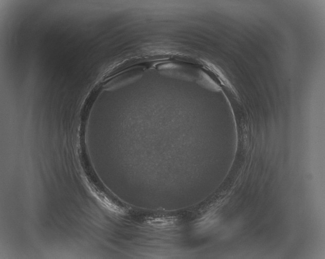 X0000083640447200702121128