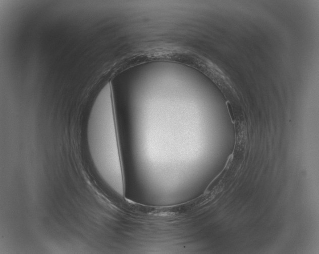 X0000083640452200702121128