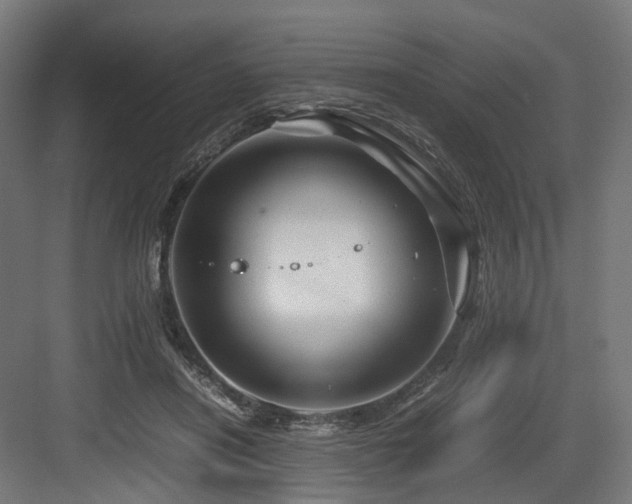 X0000083640454200702121128