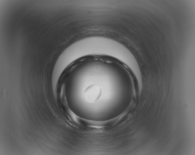 X0000083640456200702121128