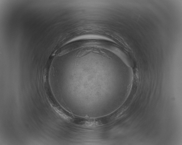 X0000083640458200702121128