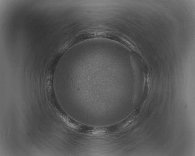 X0000083640462200702121128