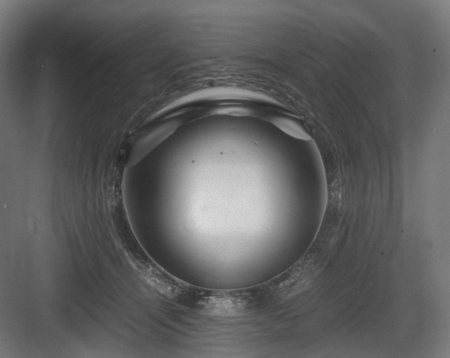 X0000083640464200702121128