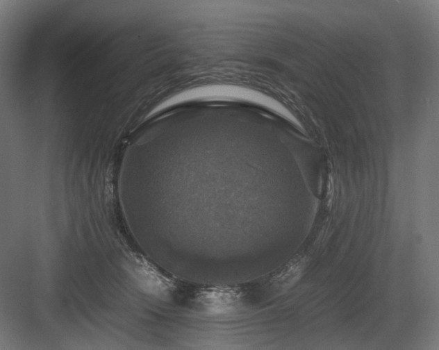 X0000083640466200702121128