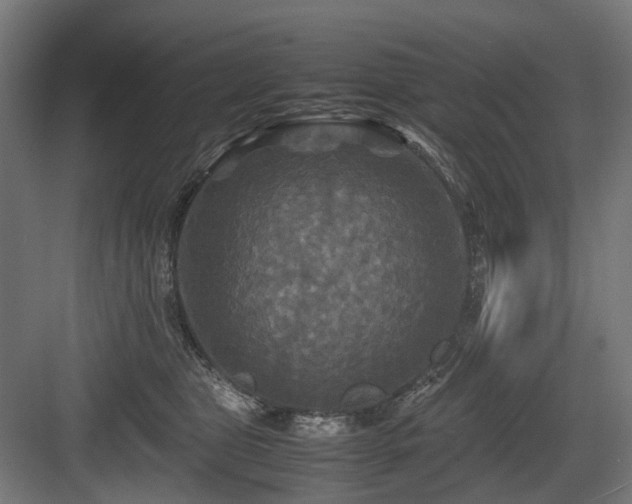 X0000083640469200702121128