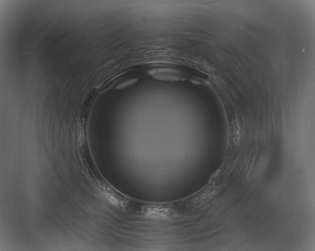 X0000083640471200702121128