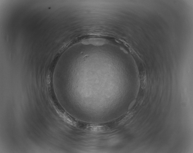 X0000083640472200702121128