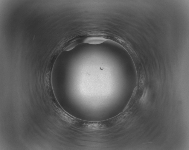 X0000083640473200702121128