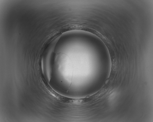 X0000083640474200702121128