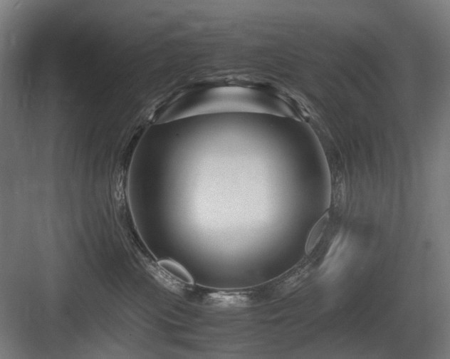 X0000083640477200702121129